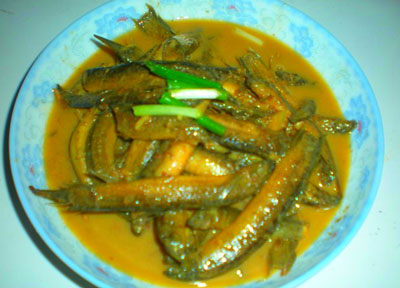 家常焖泥鳅的做法，简单易做的焖泥鳅怎么做