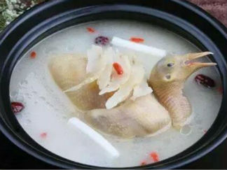 乳鸽汤的做法