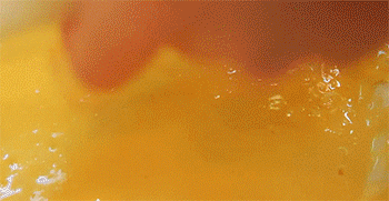 【炸海鲜菇】放入海鲜菇和调料