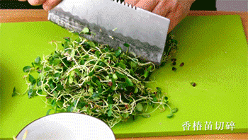 【香椿爆浆芝士炸肉丸】切香椿苗