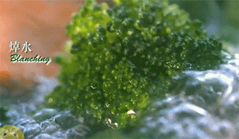 【耗油西蓝花】捞起西蓝花