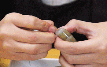 【吮指琵琶虾】剥虾壳