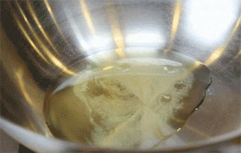 【爽口山药炒木耳】爆香葱