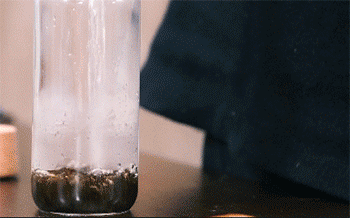 【茶香鸡腿】泡茶