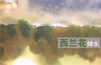 【缤纷素炒面】西蓝花焯水