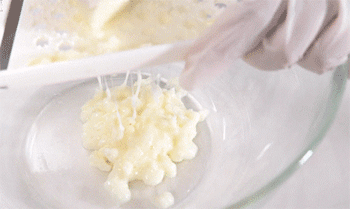 【鲜山药蒸肉丸】磨山药泥