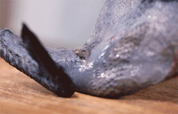 【陈皮乌鸡盅】剁乌鸡