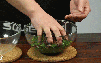 【荠菜春卷】荠菜挤干水分