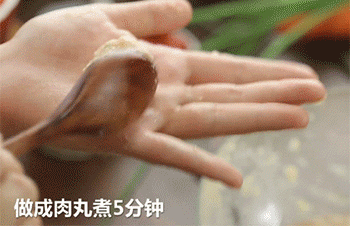 【茄汁鸡肉丸】做肉丸