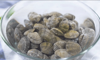 【大酱汤】吐沙