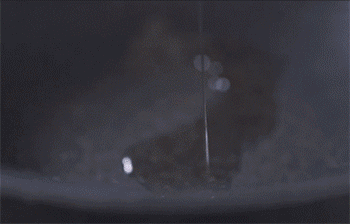 【大酱汤】炒牛肉