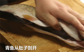 【西湖醋鱼】青鱼破肚