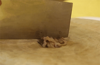 【海鲜锅巴】鱿鱼切段