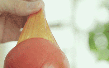 【番茄蛋饺】番茄切块