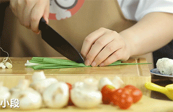 【茄汁鸡肉丸】葱切段