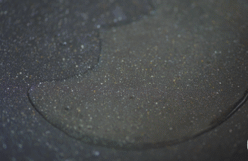 【蛋黄焗螃蟹】爆香葱姜