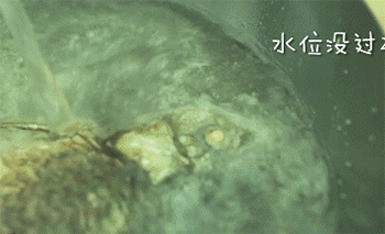 【鲫鱼萝卜丝汤】煮