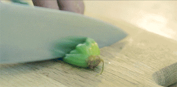 【鲜虾鸡蛋糕】切菠菜