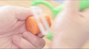 【鸡翅包饭】切胡萝卜丁