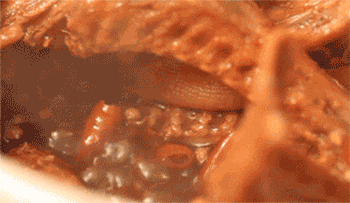 【允指麻辣鸭翅】卤制