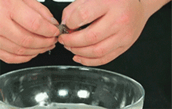 【金丝虾球】处理虾