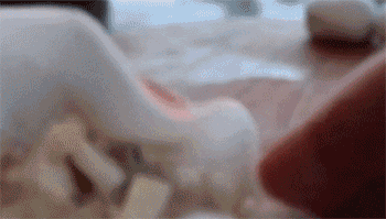 【水晶虾饺】包馅