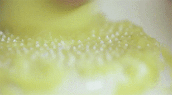 【盐煎秋刀鱼】磨酱泥