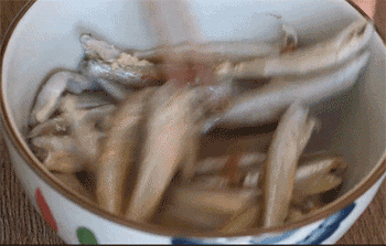 【酥炸胡瓜鱼】腌制