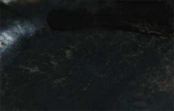 【大虾烧白菜】热锅起油