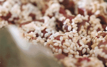 【软香糯米排骨】蒸