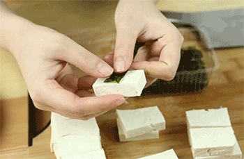 【日式照烧煎豆腐】裹豆腐