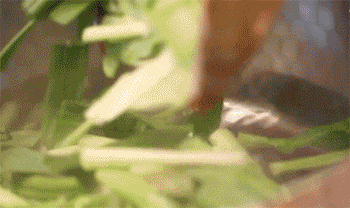 【川味水煮牛肉】焯水