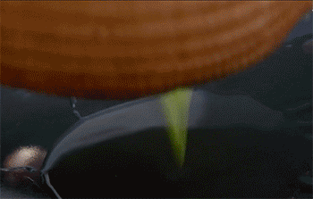 【豆角焖面条】煸炒