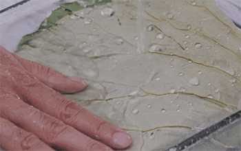 【荷叶鸡】荷叶