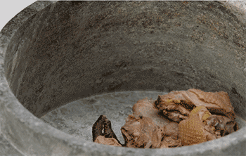 【石锅炖鸡】鸡块入锅