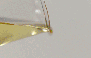 【锅塌豆腐】起油