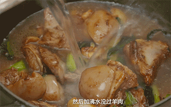 【枝竹羊腩煲】调味