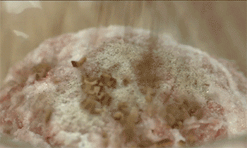 【萝卜丝肉丸】混合