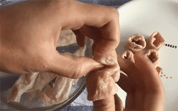 【九转肥肠】折