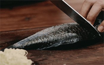 【豆瓣鲫鱼】划