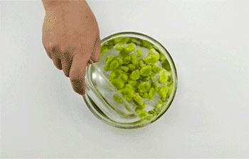 【葱油蚕豆】洗净