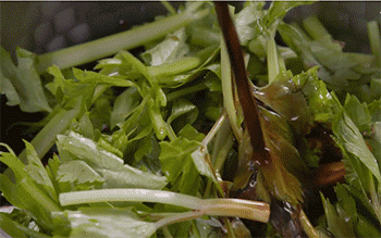 【茨菰炖羊肉】倒入酱油