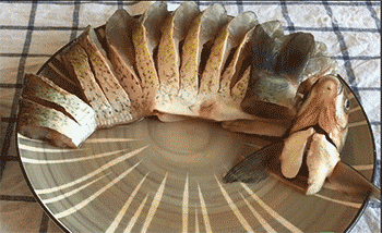 【孔雀开屏武昌鱼】摆