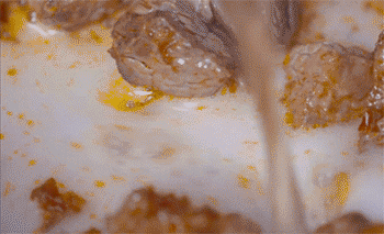 【萝卜牛肉煲】炖