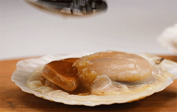 【葱香豆豉蒸扇贝】淋