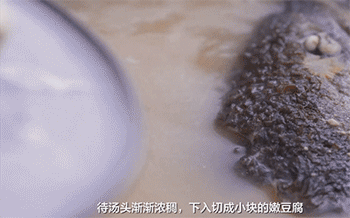 【三文鱼头汤】下入豆腐