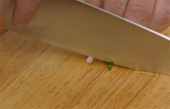 【锅塌豆腐】葱