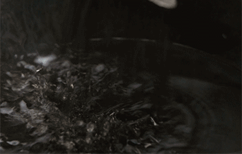 【葱香豆豉蒸扇贝】下豆豉