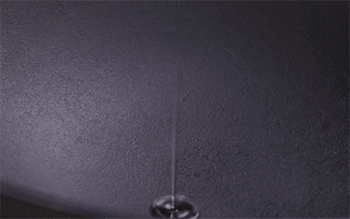 【麻辣烤鱼】爆香