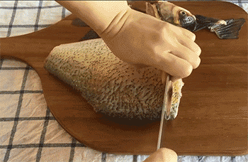 【孔雀开屏武昌鱼】切片